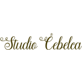 Studio Čebelca
