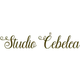 Studio Čebelca