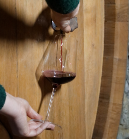 Vinska klet Dolenjska