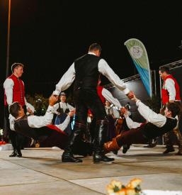 Folk group Slovenia