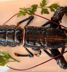 Dobra morska hrana Piran