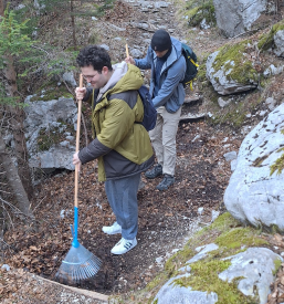 Alpe Adria Green mednarodno društvo