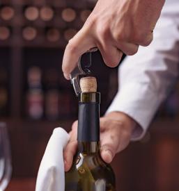 Proizvodnja in prodaja vina Ankaran, Obala