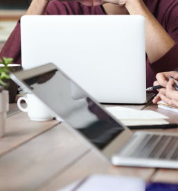 Veleprodaja in izvoz vrhunskih olj in masti