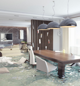 Izsuševanje estrihov Savinjska