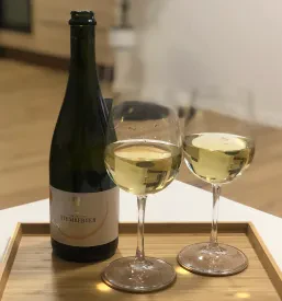 Dobra vinska klet in degustacija vin Dolenjska