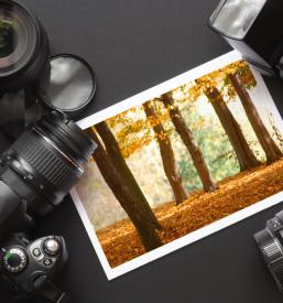 Fotografiranje porok Novo mesto