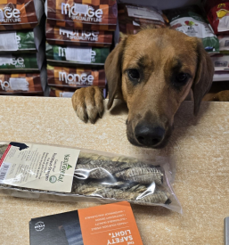 Spletna trgovina za male živali Podravska