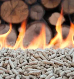 Günstiger Verkauf von Pellets Slowenien