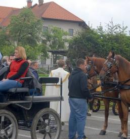 Blagoslov konj Šenčur