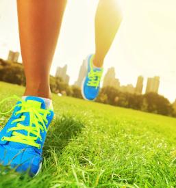 Rogaški tek Rogaška Slatina, Savinjska