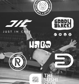 Oblikovanje vizualne podobe podjetja Pomurje