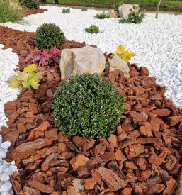 Čiščenje grobov Mestno pokopališče Celje