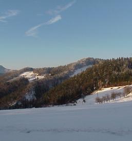 Lov na divjad Velenje