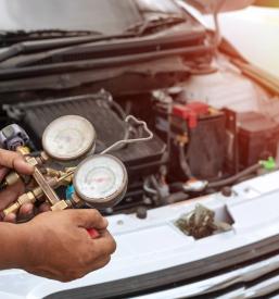 Poceni avtodeli Laško, okolica