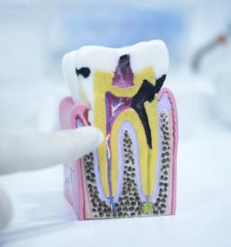 Dentalni center Bled