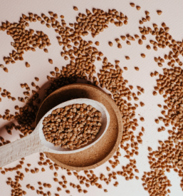 Čistilec zrnja Radenci