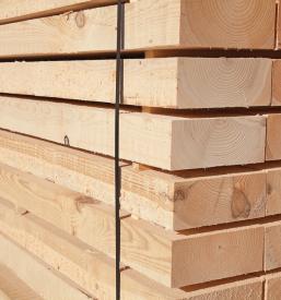 Prodaja lesa Osrednja Slovenija