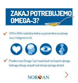 Ugoden oOmega-3 v tekočini Slovenija
