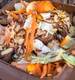 Recikliranje biološki odpadkov Maribor