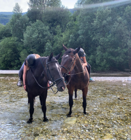 Prijazna šola jahanja Goriška