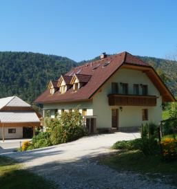 Financially affordable apartment Kamnik