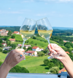 Zipline Vinarium Lendava