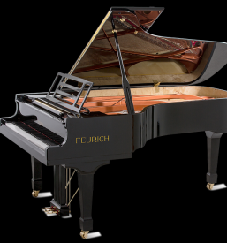 Profesionalno koncertno uglaševanje klavirjev Ljubljana