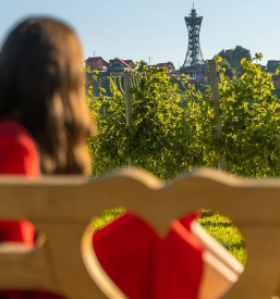 Stolp Vinarium v Lendavi