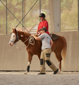 Ganzheitliche HBM-Methode