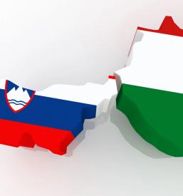 Madžarska kultura v Lendavi