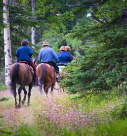 Jahalna terapija Novo mesto