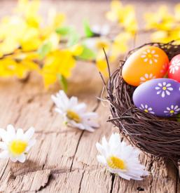 Čudovite barve za pirhe Slovenija