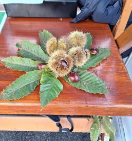 Ohranjanje kulturne dediščine Vitovlje, Nova Gorica