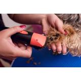 LovePet, Tamara Naglič Kramljak s.p.