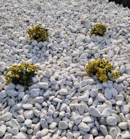 Čiščenje grobov Pokopališče Teharje