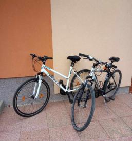 holiday house Pomurje