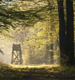 Najem lovske koče Lovska družina Timav Vreme