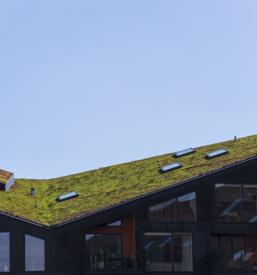 Izdelava zelene strehe in hidroizolacije Primorska, Ljubljana