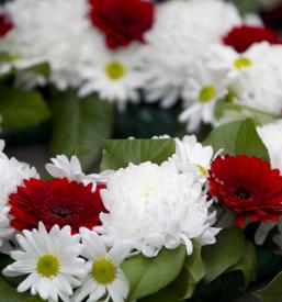 Pogrebne storitve Slovenska Bistrica, Podravska