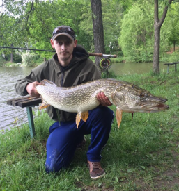 Športni ribolov Rače