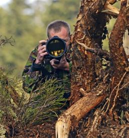 Lov na divjad in foto lov Grad, Prekmurje