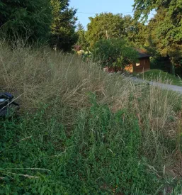 Ugodno urejanje okolice Maribor, Štajerska