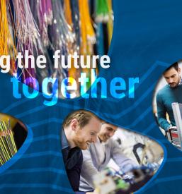 Silikonski deli za belo tehniko Koroška