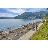 Apartma D.M., Dostana Zaić