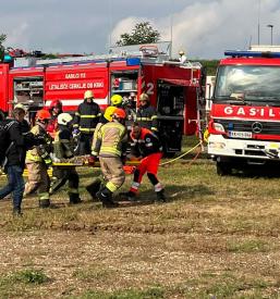 Servis RGA Krško, Dolenjska