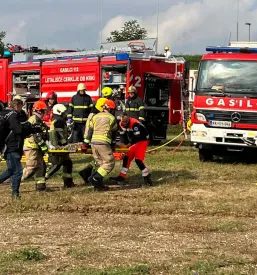Servis RGA Krško, Dolenjska
