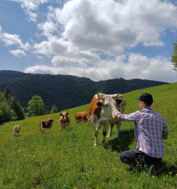 Cheap apartments Kamnik, Gorenjska