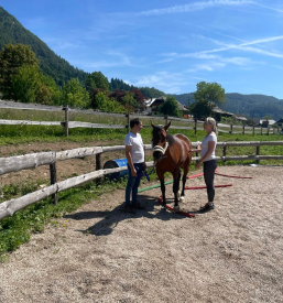 Terapija s konji na Gorenjskem