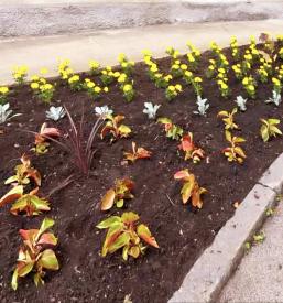 Vrtnarske storitve Jesenice, Slovenija